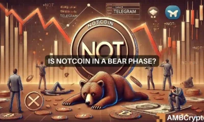 Notcoin news