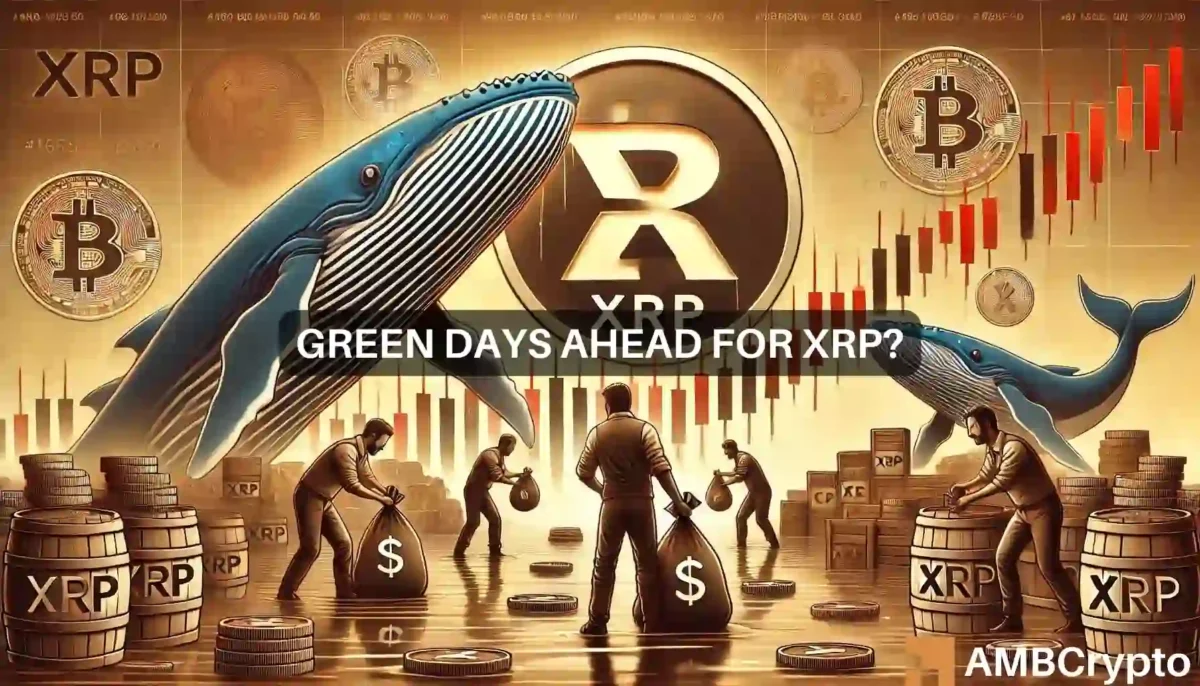 XRP whales rack up more tokens despite price fall: Recovery ahead?